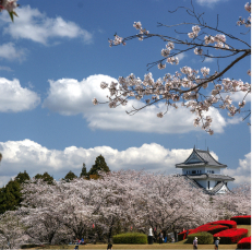 calendar-img-spring