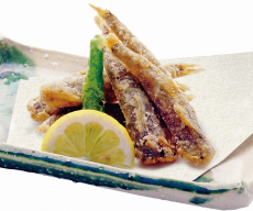Nishitachi